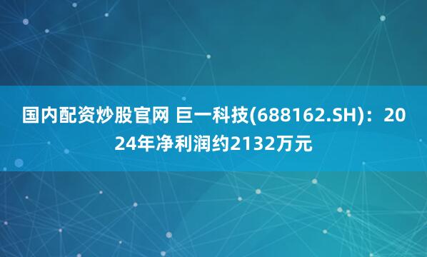 国内配资炒股官网 巨一科技(688162.SH)：2024年净利润约2132万元
