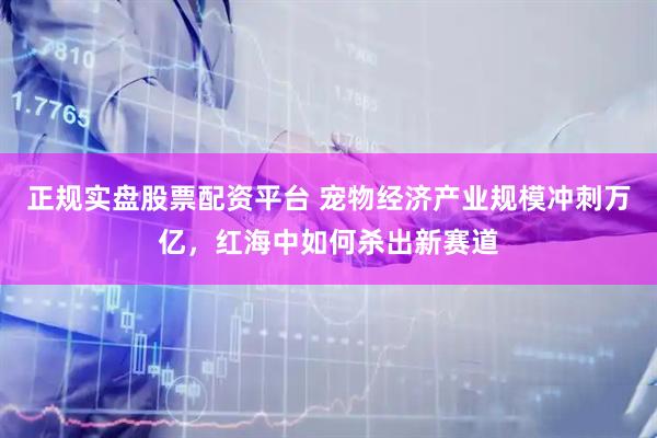正规实盘股票配资平台 宠物经济产业规模冲刺万亿，红海中如何杀出新赛道